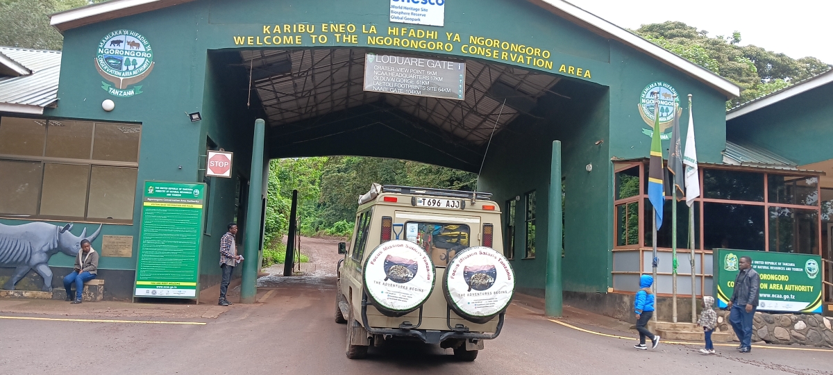 Focus Mission Safaris Ngorongoro Tour