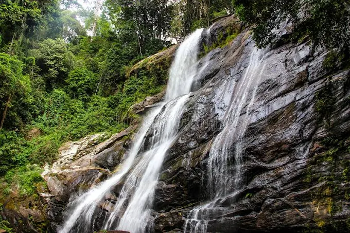 3-Day Udzungwa Circuit