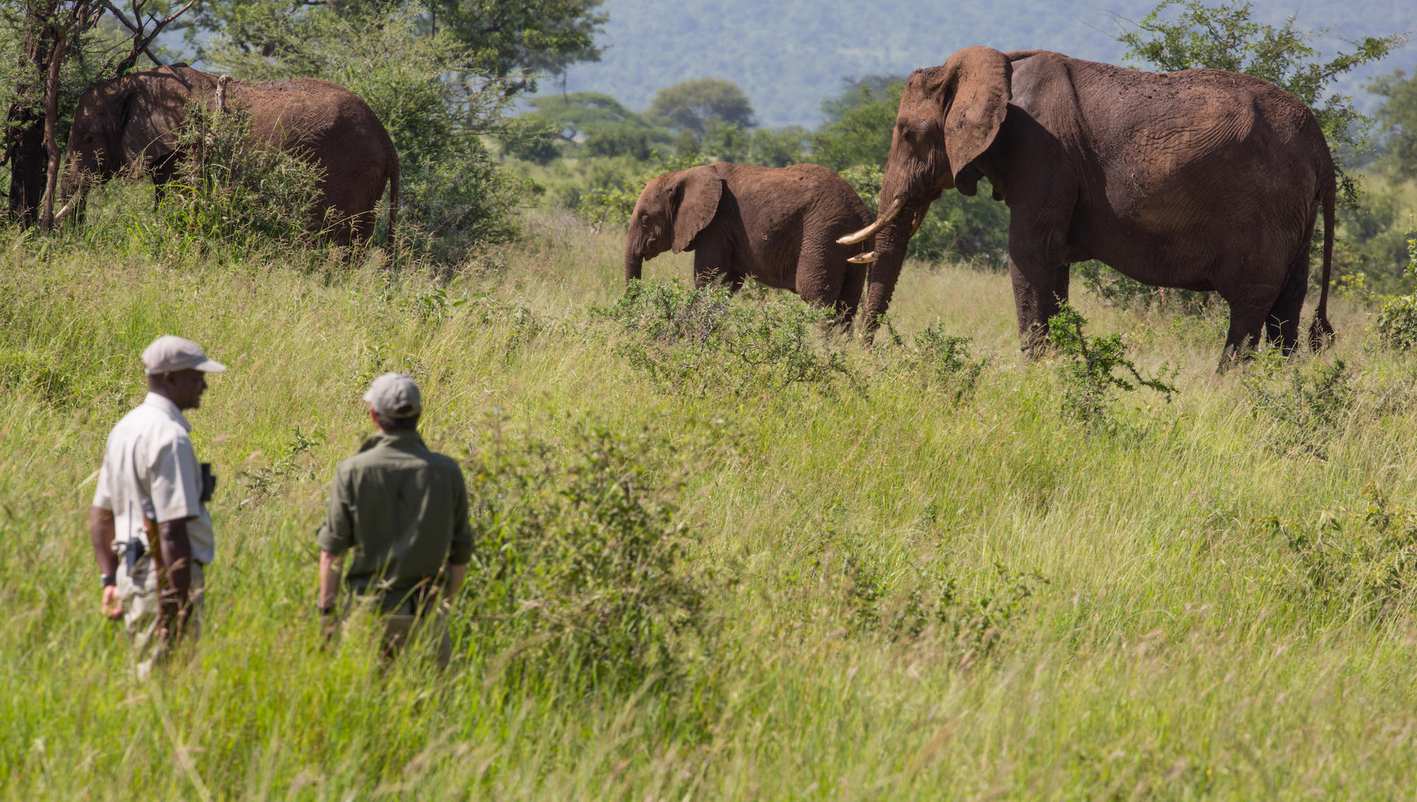 Ngorongoro Highlands Falls Hike